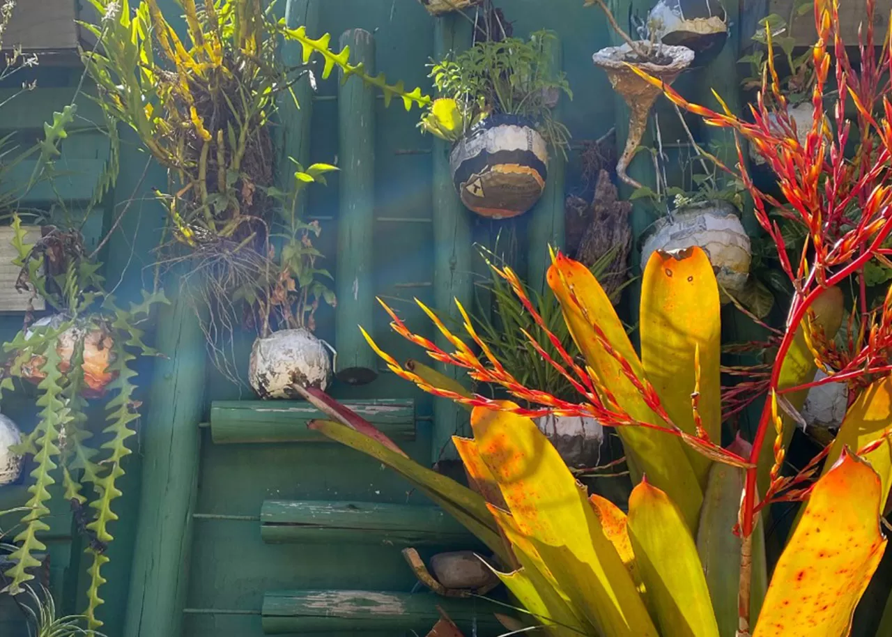 espaco-comunidade-03